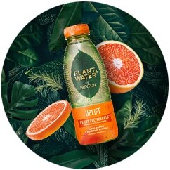 Plant + Water bottle of Blood Orange Rosemary flavour fruity-infused water on a background of leaves