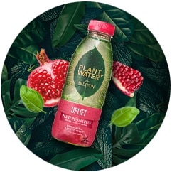 Plant + Water bottle of Pomegranate and Basil flavour fruity-infused water on a background of leaves