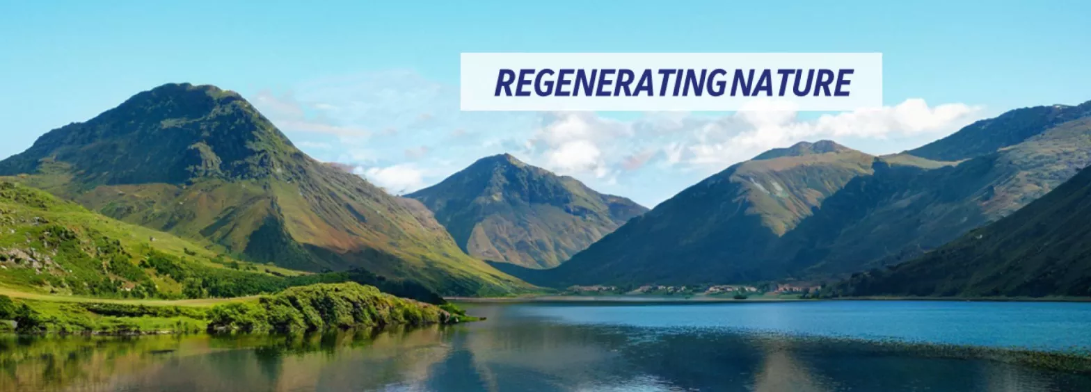 Headers regenerating nature.jpg
